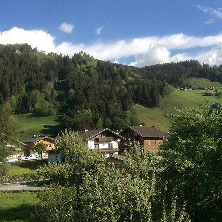 Kitzbuheler Alpen Penthouse Hollersbach Hollersbach im Pinzgau Exterior foto