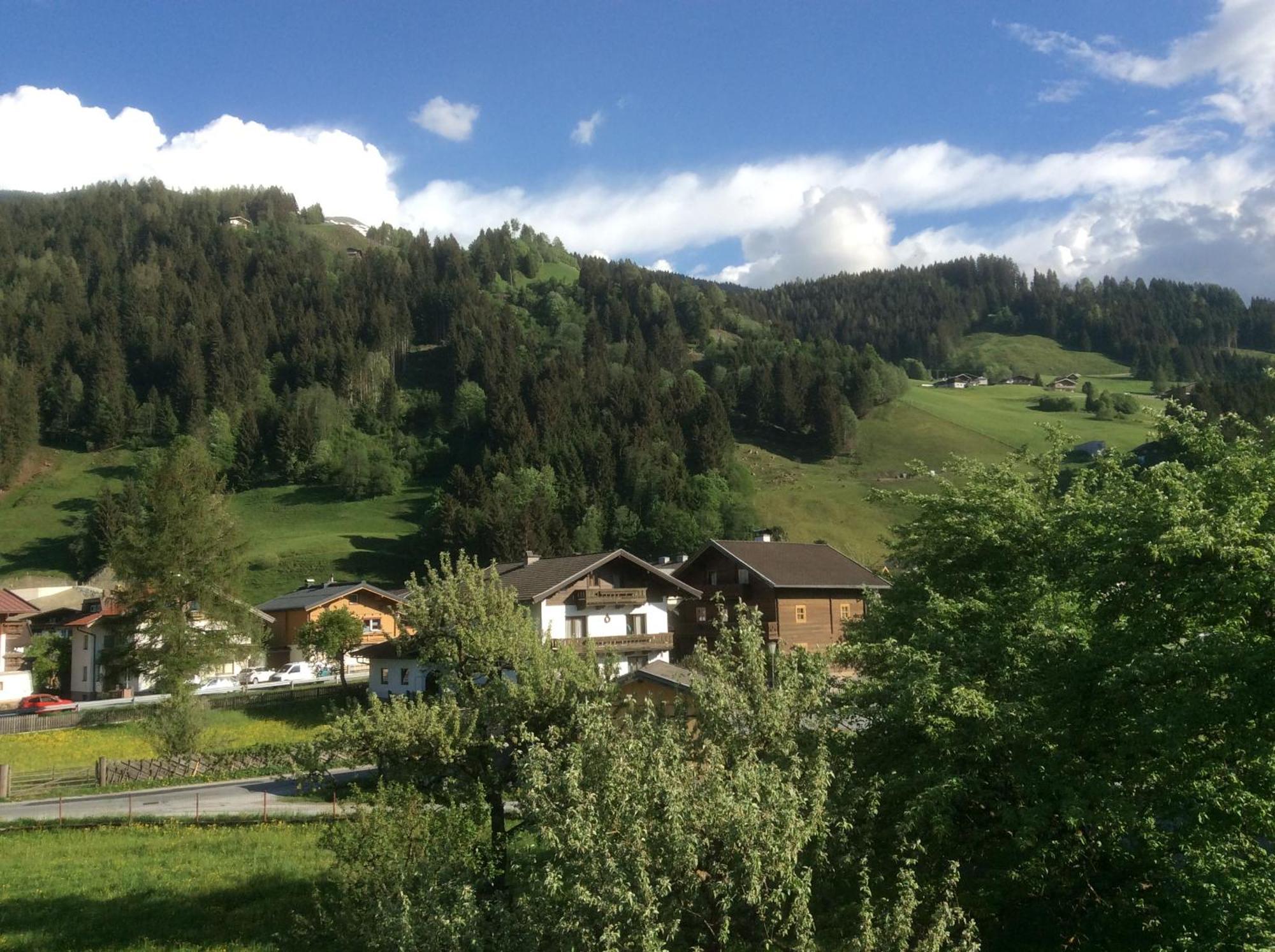 Kitzbuheler Alpen Penthouse Hollersbach Hollersbach im Pinzgau Exterior foto