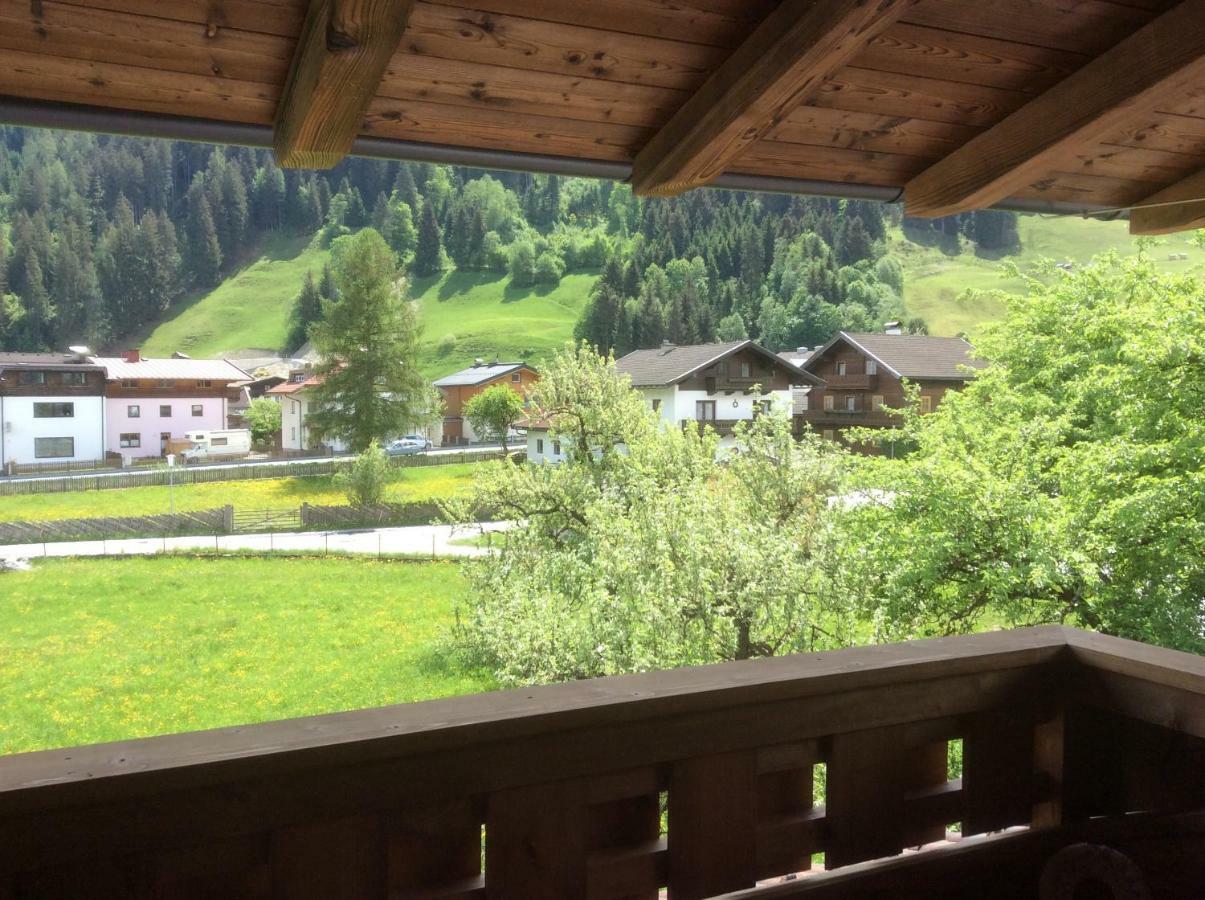 Kitzbuheler Alpen Penthouse Hollersbach Hollersbach im Pinzgau Exterior foto