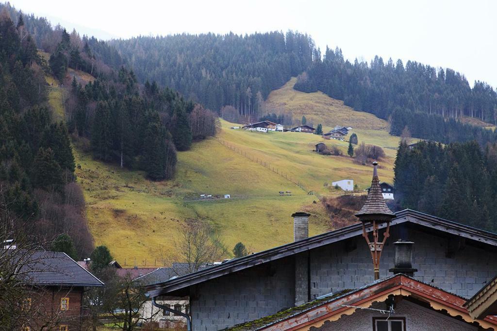 Kitzbuheler Alpen Penthouse Hollersbach Hollersbach im Pinzgau Exterior foto